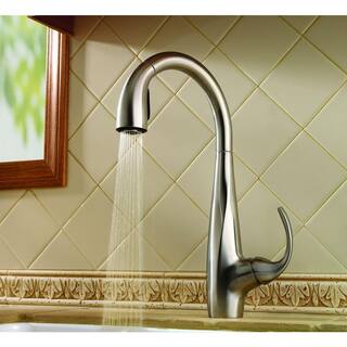 Pfister Avanti Single-Handle Pull-Down Sprayer Kitchen Faucet in Stainless Steel LF-529-7ANS