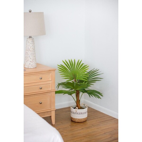 AandB Home Fan Palm Tree in Pot