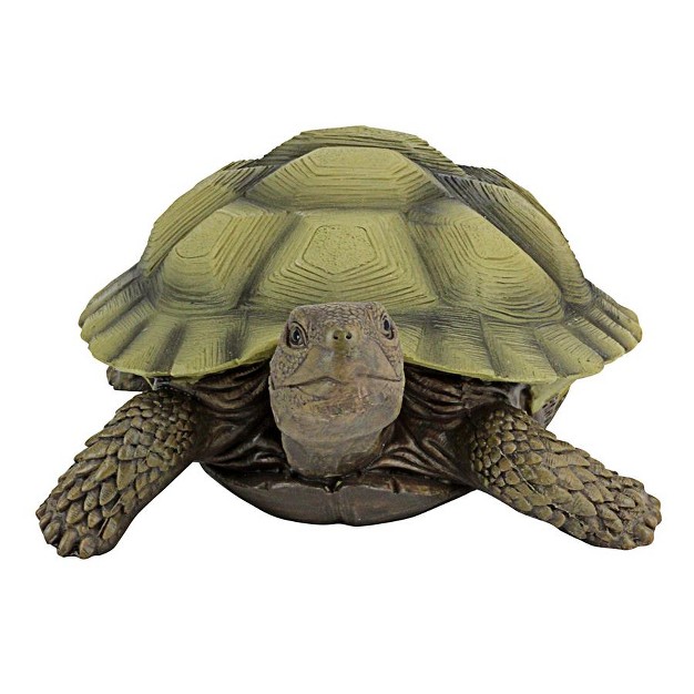 Design Toscano Gilbert The Box Turtle Statues Set Of Two