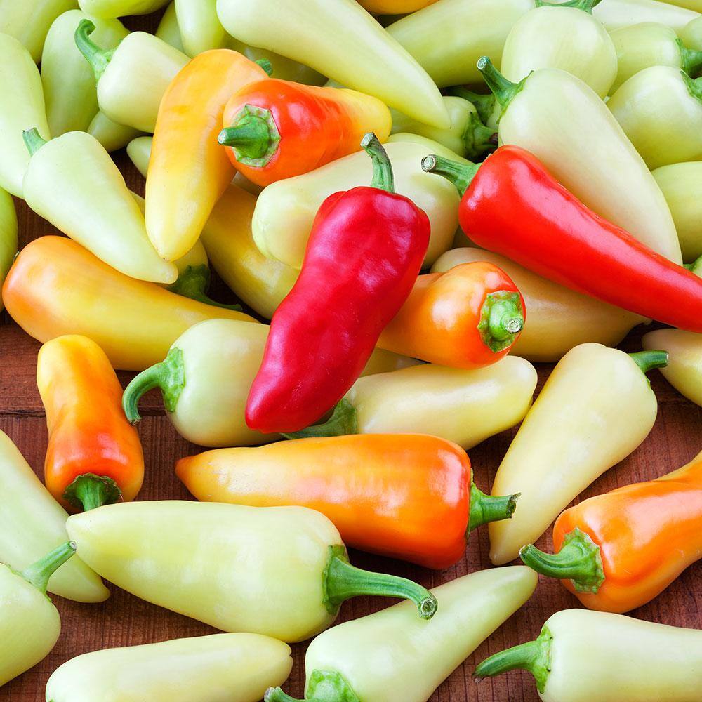 Bonnie Plants 19 oz. Santa Fe Grande Hot Pepper Plant 2909