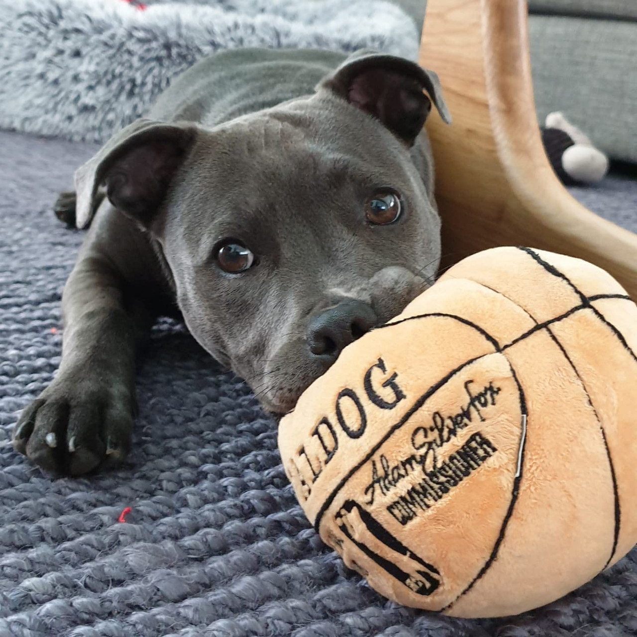 FuzzYard Spaldog Basketball Plush Dog Toy