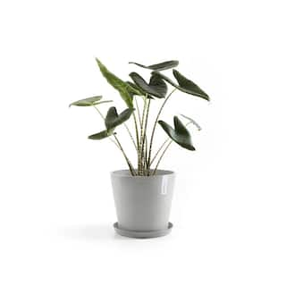 O ECOPOTS BY TPC 16 in. White Grey Premium Sustainable Planter (with Saucer) AMS.40.WG