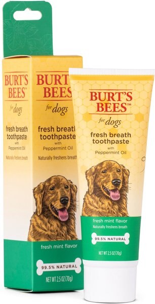 Burt's Bees Care Plus + Fresh Breath Toothpaste with Peppermint Oil， 2.5-oz tube