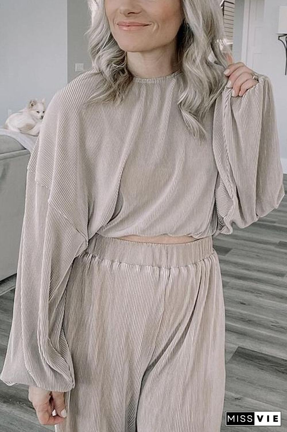 Pleated Crop Blouse Wide Leg Pants Set