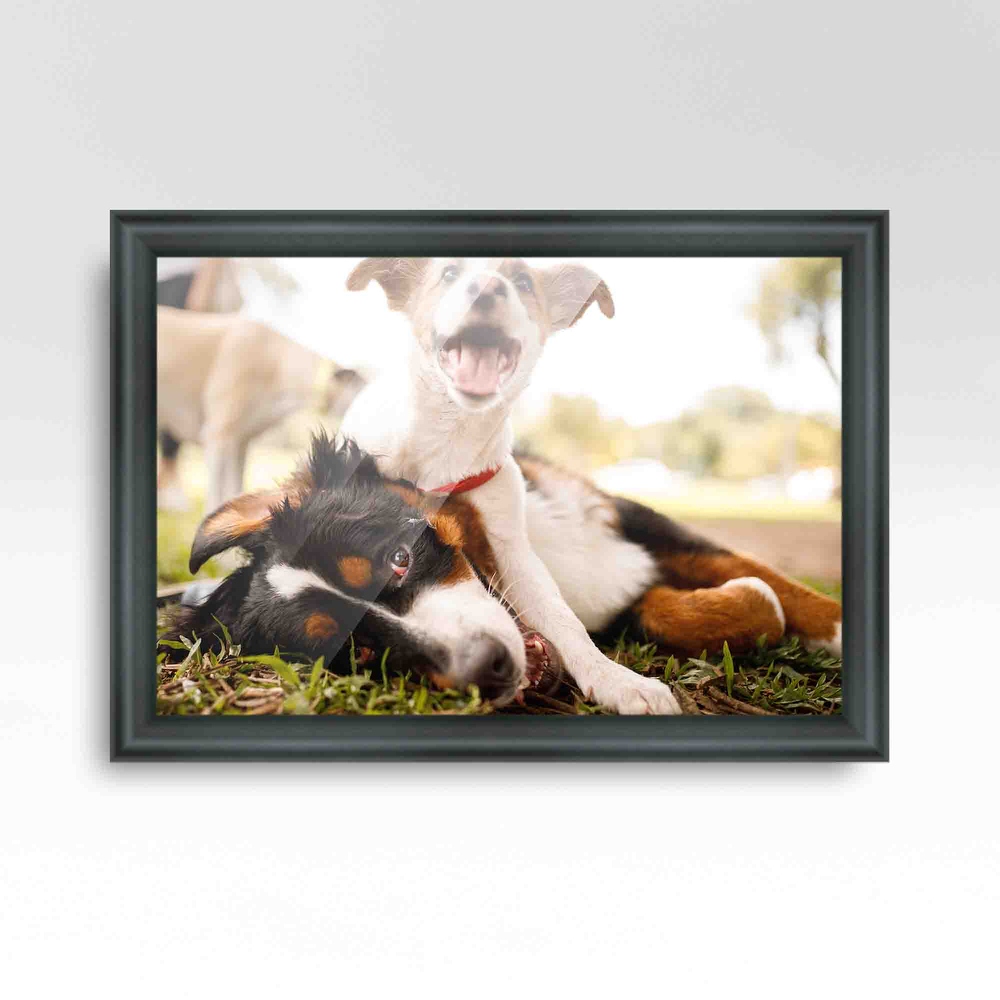 27x15 Black Picture Frame   Wood Picture Frame Complete with UV