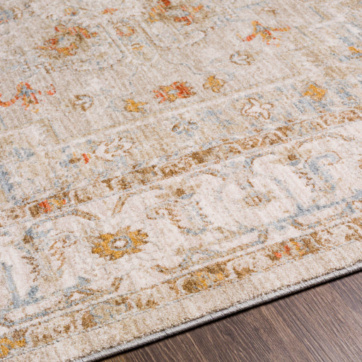 Avant Garde Traditional Beige Rug