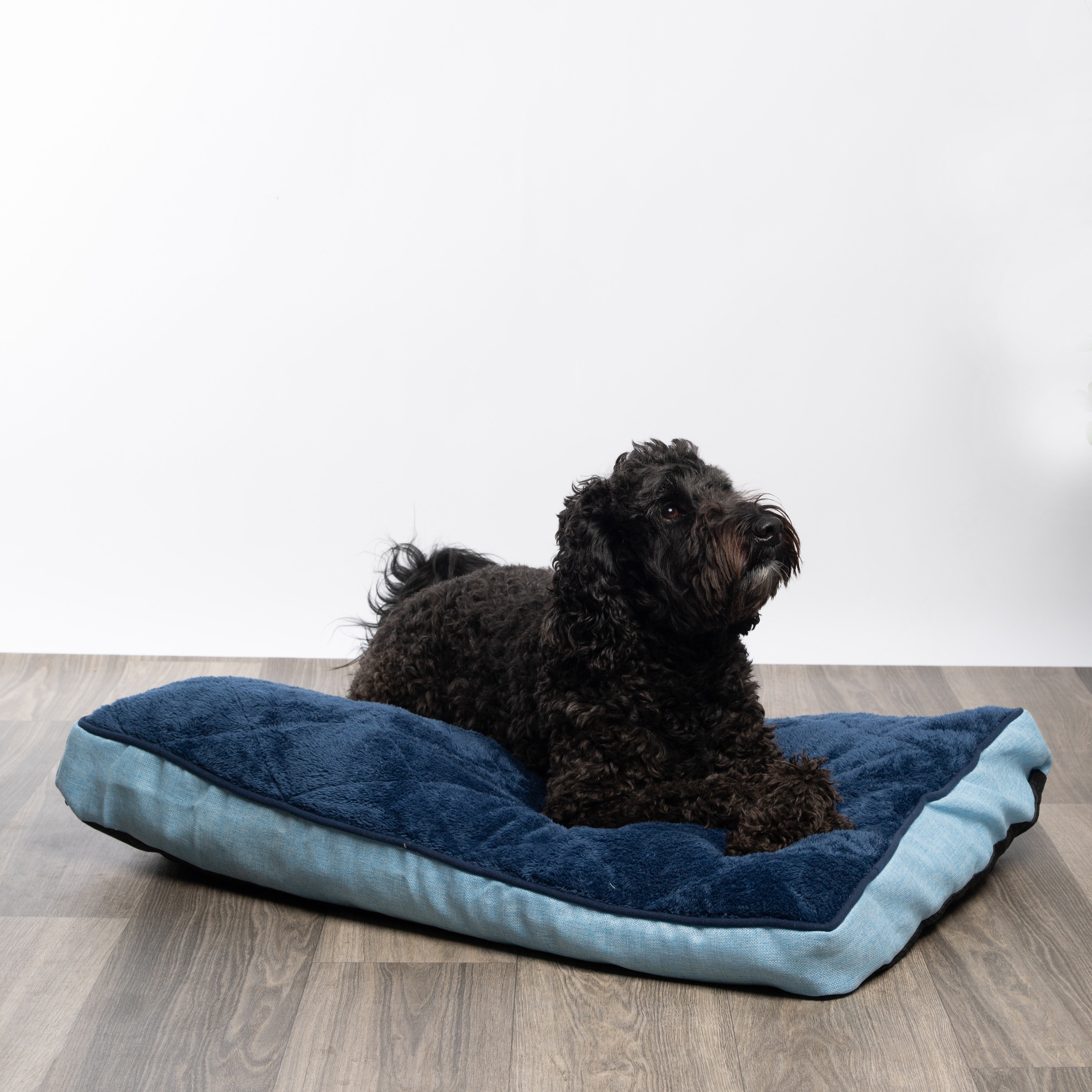 Modern Threads Large Orthopedic Memory Foam Plush Pillow Dog Bed， Linen， Blue