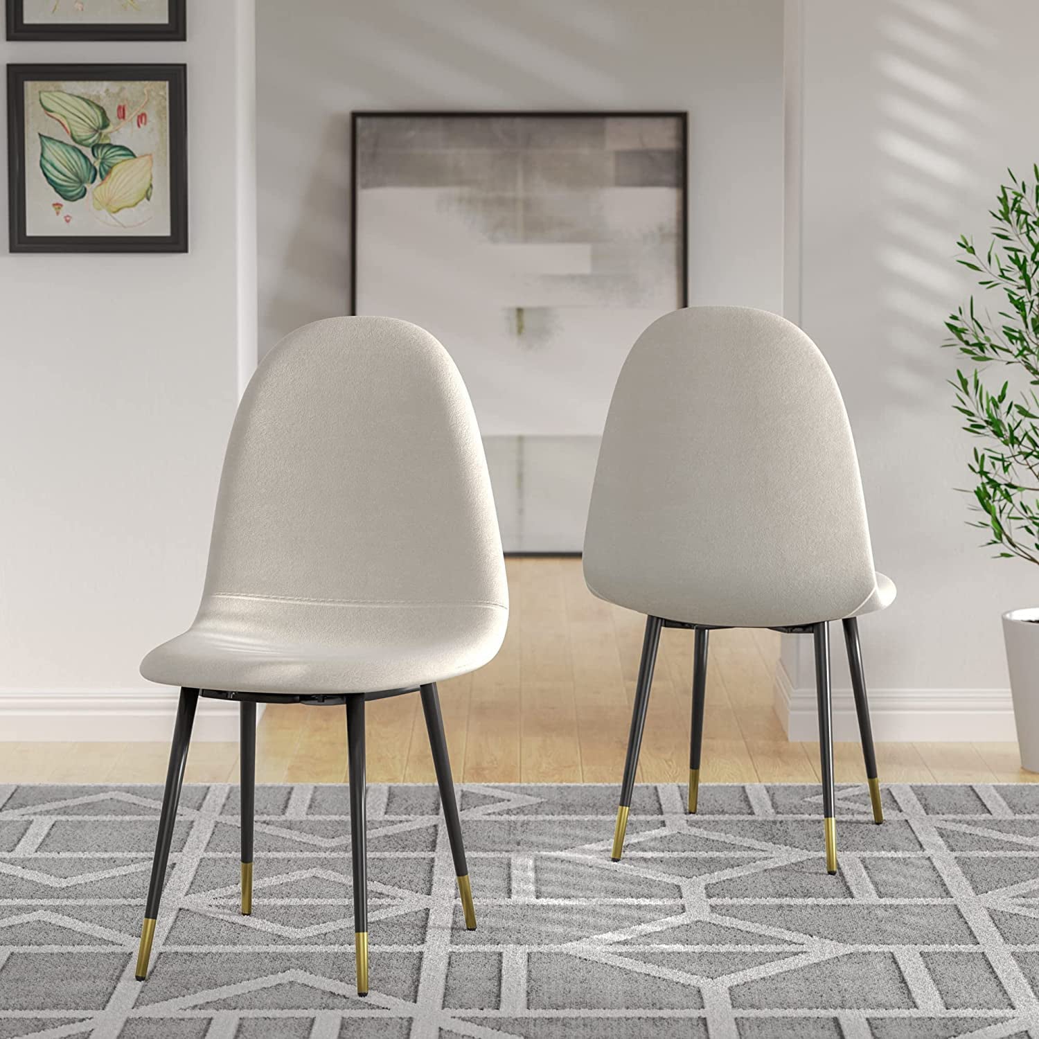 Cozy Castle Beige Velvet Dining Chairs Set of 4， Modern Simple Kitchen and Dining Room Chairs with Comfortable Ergonomics Back and Solid Metal Chair Legs