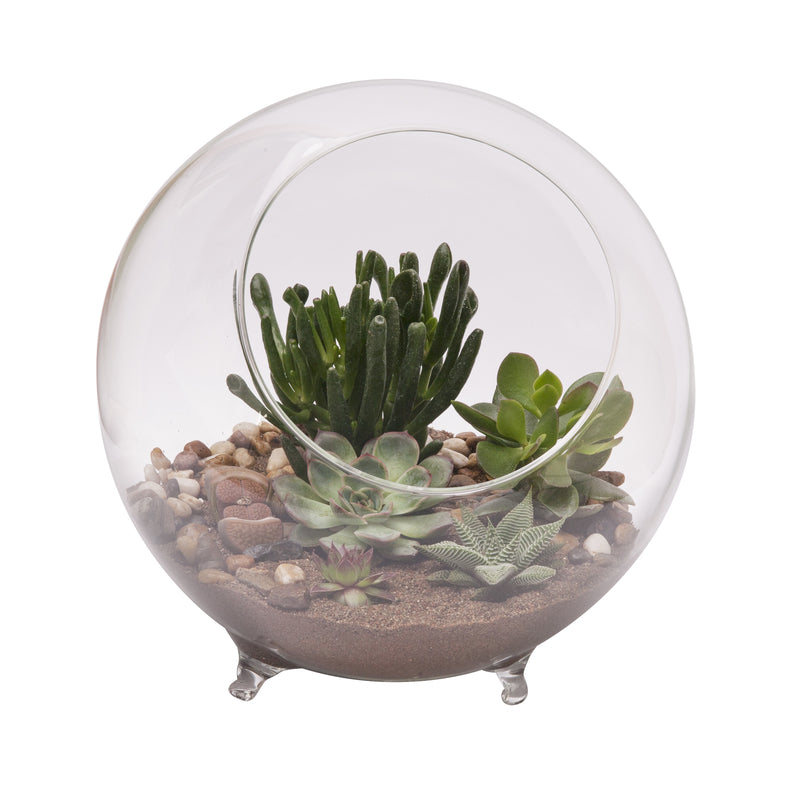 TERRARIUM W/FEET 10.25