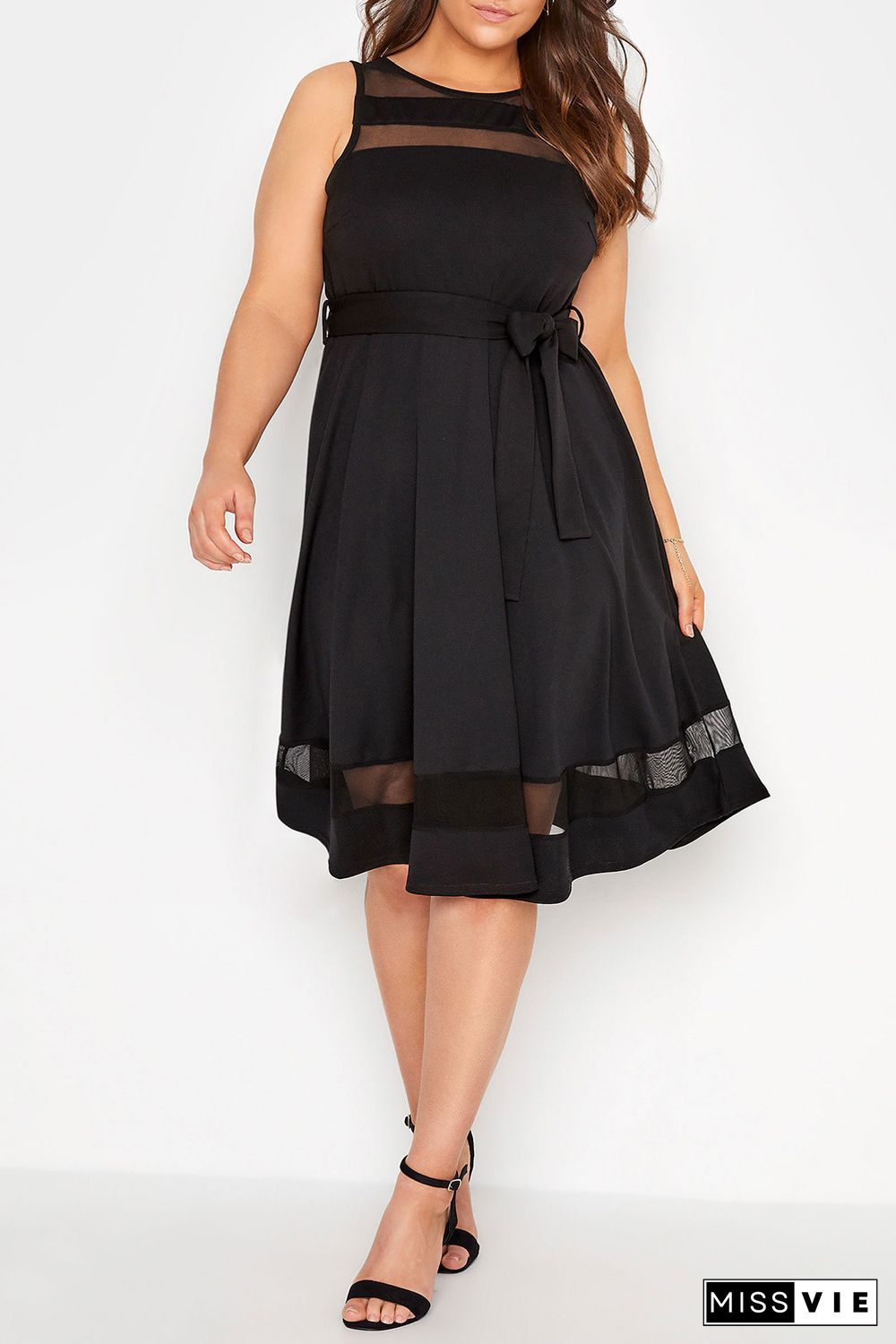 Black Plus Size Mesh Panel Skater Dress