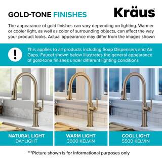 KRAUS Artec Pro Pull-Down Single Handle Kitchen Faucet with Pot Filler in Spot Free Antique Champagne Bronze  Matte Black KPF-1604SFACBMB