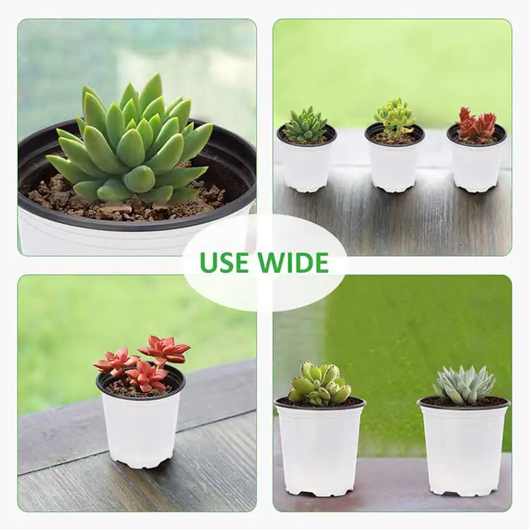 Home Garden Supplies Flowerpot Multiple Sizes Nursery Succulents Planter Plastic Flower Pot