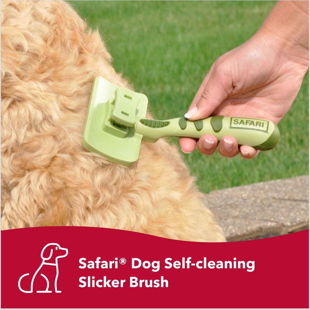 Safari Self-Cleaning Slicker Brush for Dogs