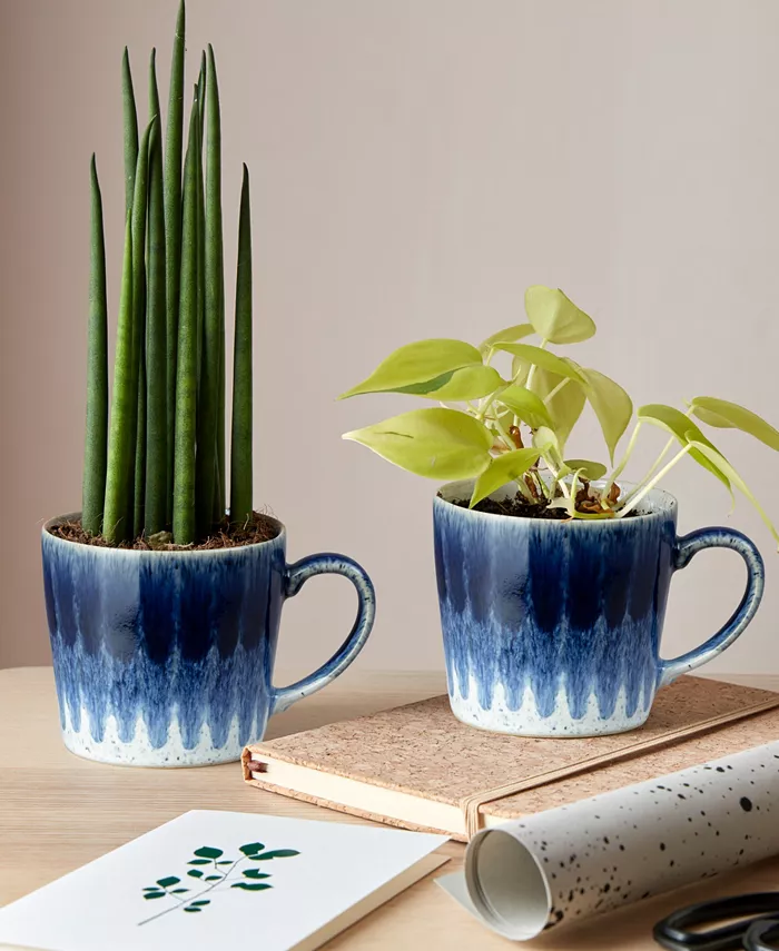 Denby Studio Blue Accent Set of 2 Mugs Service for 2