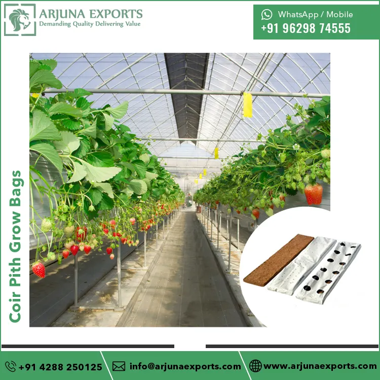 Factory Direct Supply High Quality Coco Coir Pith Grow Bags for Growing Vegetables and Flowers Plants in Hydroponics