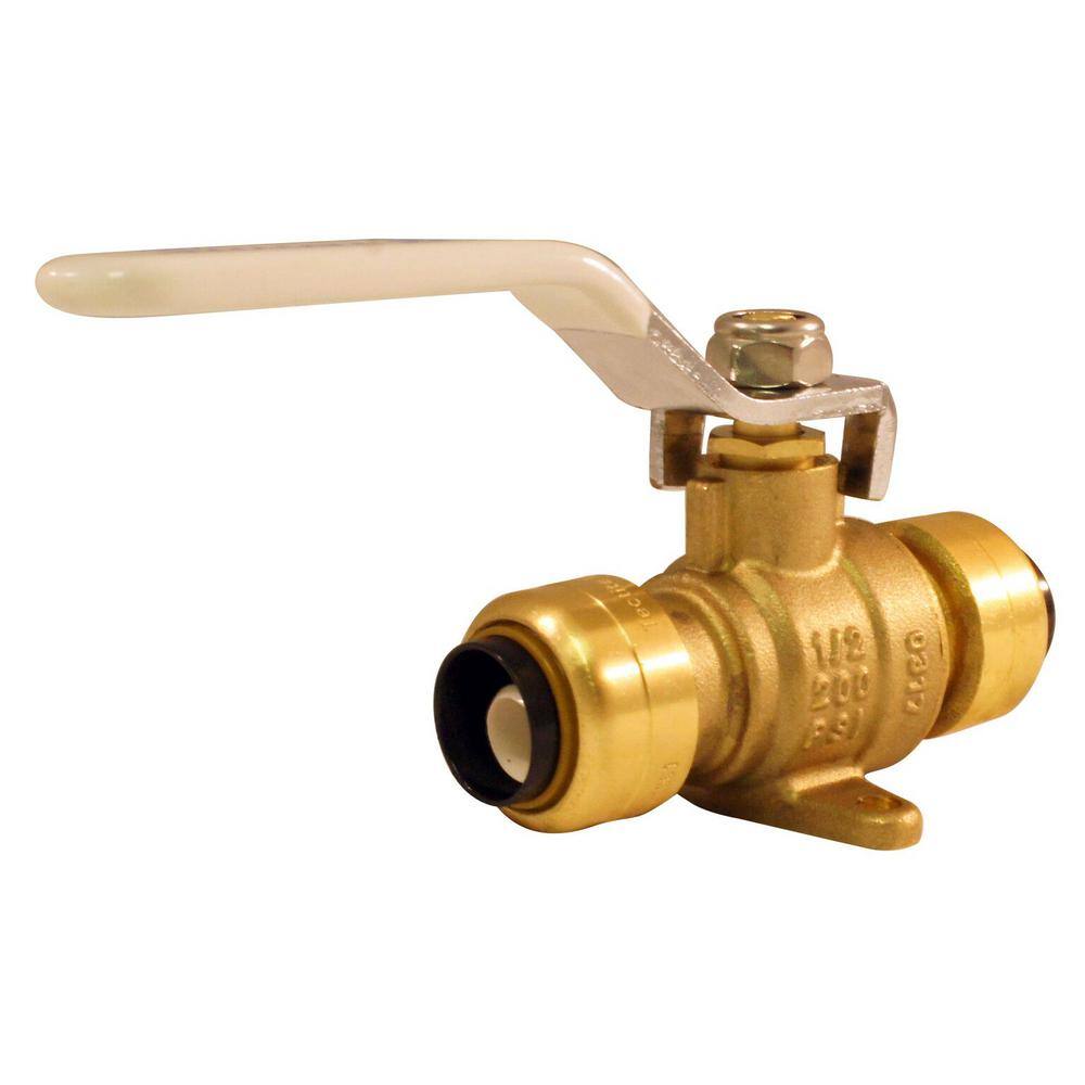 Tectite 12 in. Brass Push Ball Valve with Flange and Drain FSBBV12DE