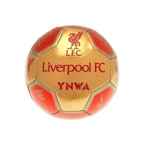 Liverpool FC Signature Football