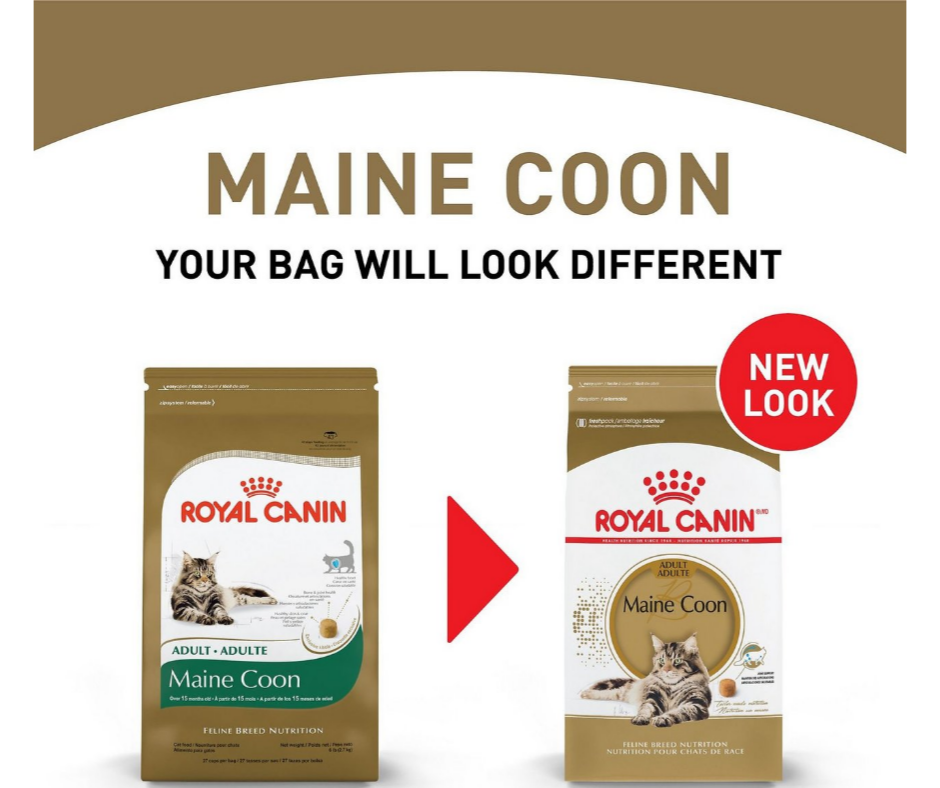 Royal Canin - Adult Maine Coon Dry Cat Food