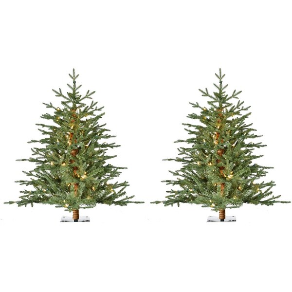 Fraser Hill Farm 3Ft. Green Alpine Porch Accent Tree with Warm White LED Lights，Set of 2