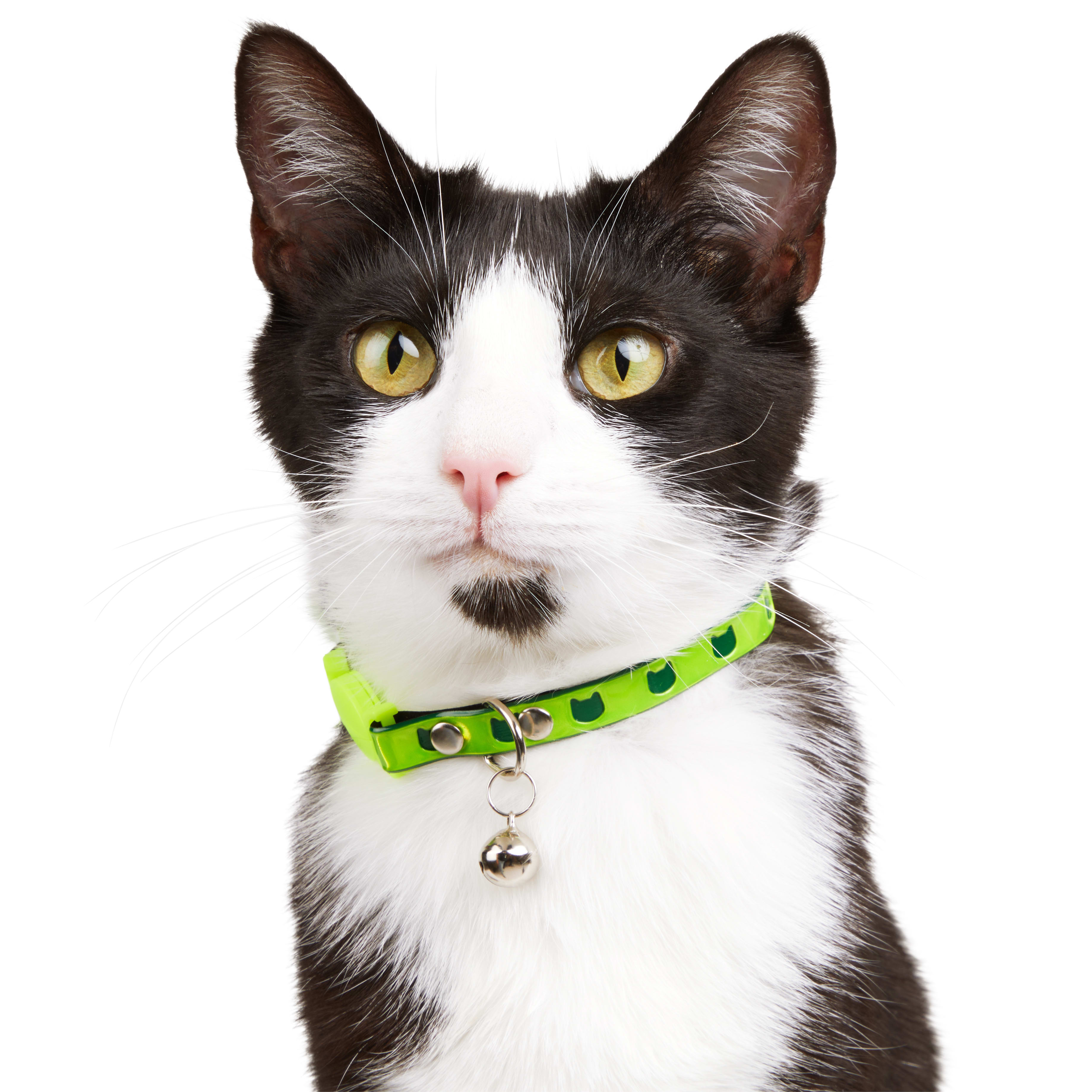 YOULY Neon Yellow Reflective Cat Collar， Large