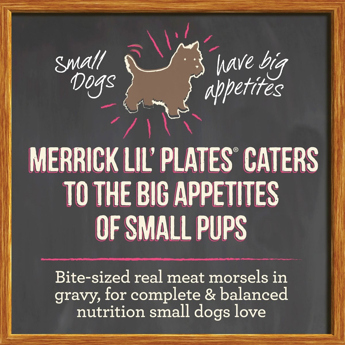 Merrick Lil' Plates Grain-Free Pint-Sized Puppy Plate in Gravy Dog Food Trays