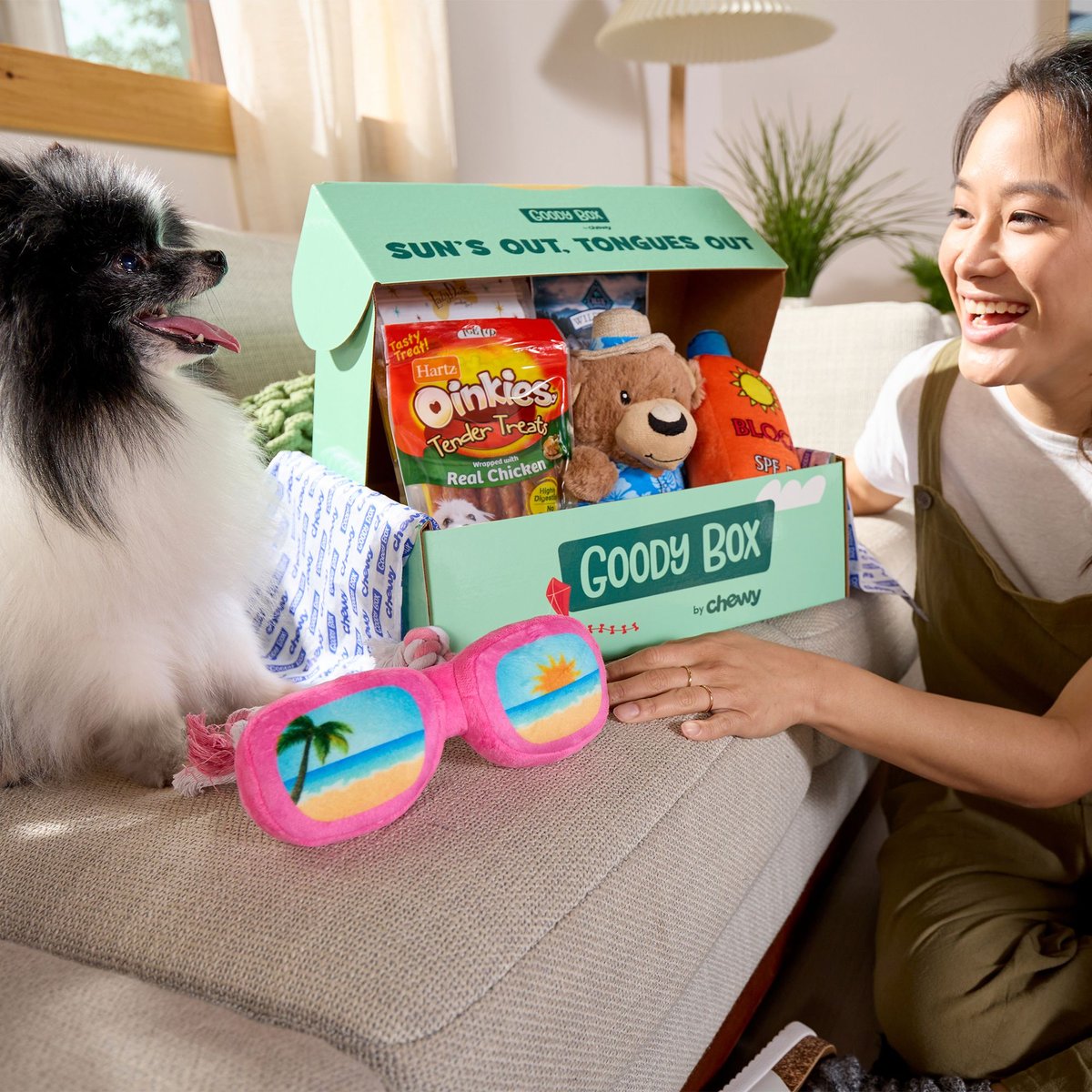 Goody Box Summer Dog Toys and Treats