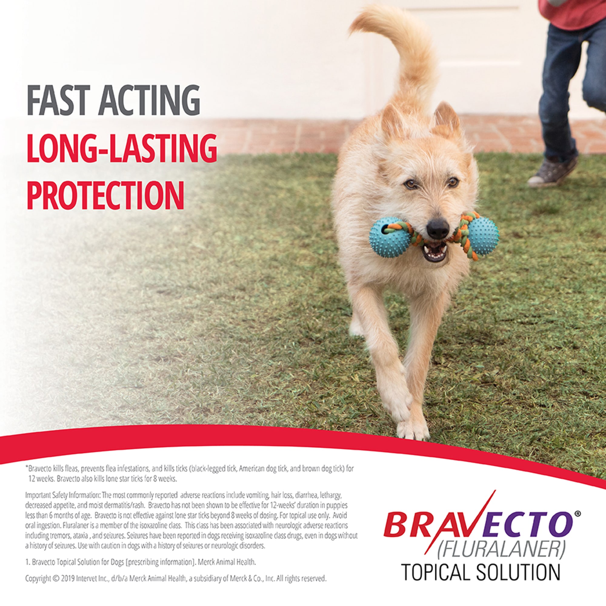 Bravecto Topical Solution for Dogs 22-44 lbs， 3 Month Supply