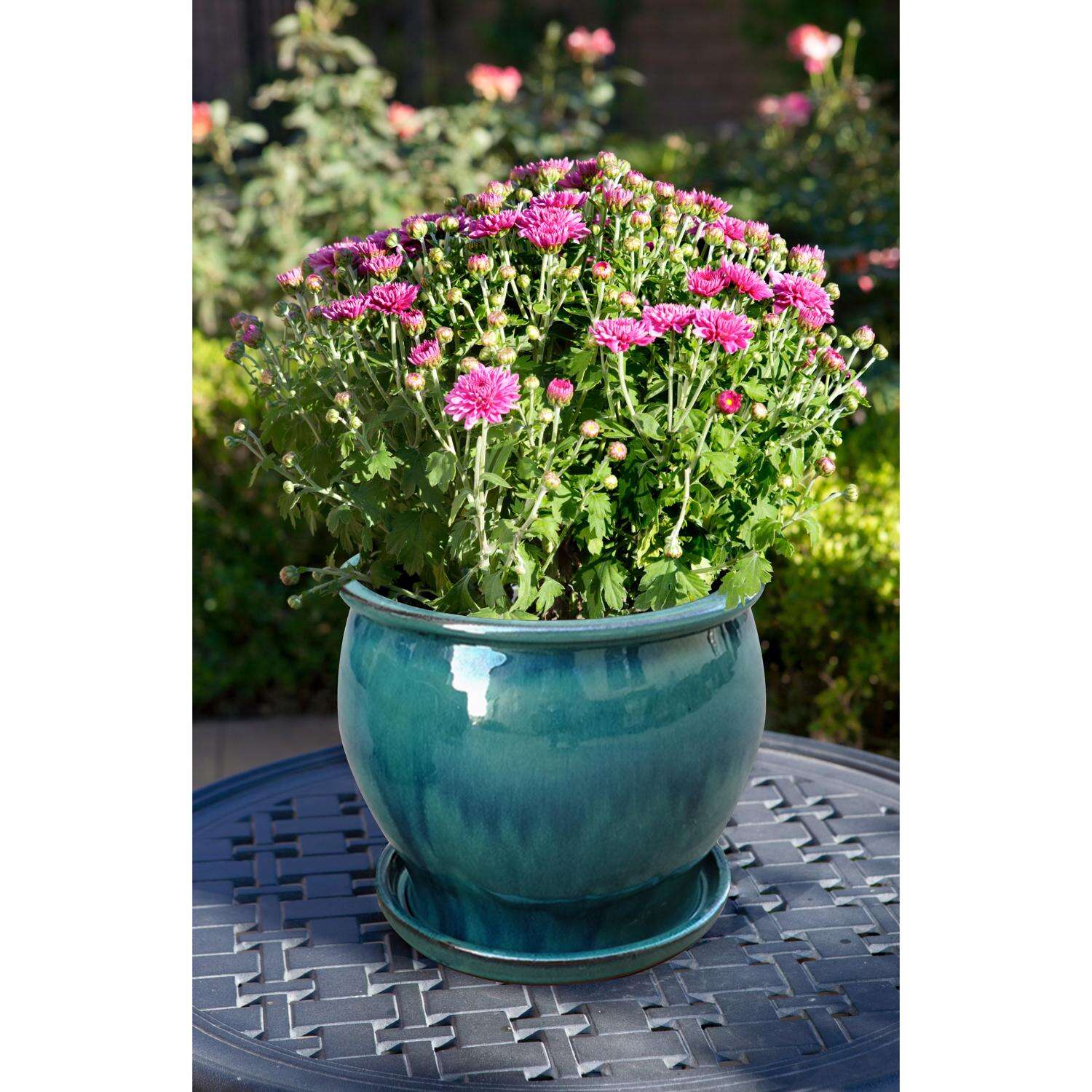 Trendspot Studio 6.3 in. H X 8 in. W X 8 in. D X 8 in. D Ceramic Planter Aqua