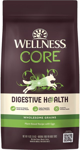 Wellness CORE Digestive Health Plant Based Recipe with Eggs Dry Dog Food