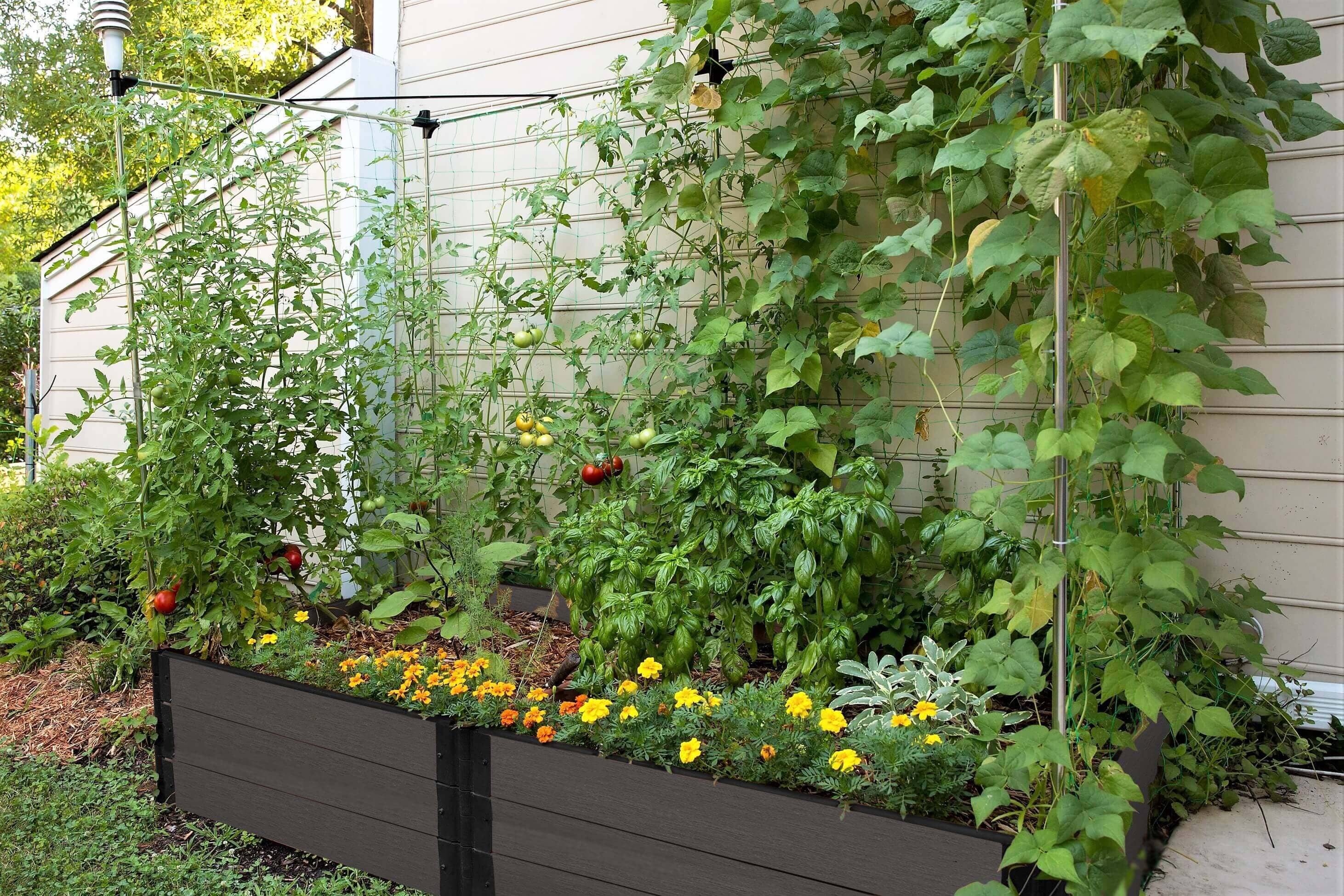 4' x 8' Raised Garden Bed with Trellis