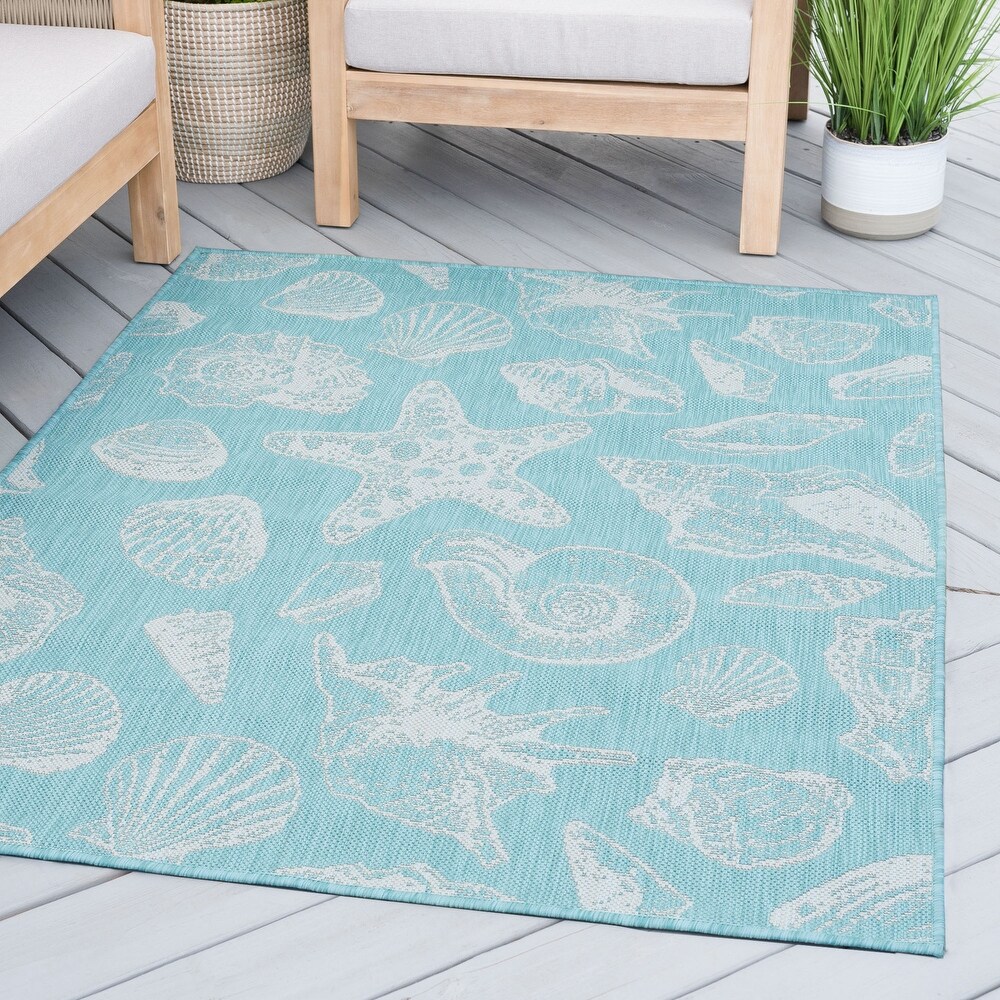 Exo Coastal Graphic Print Indoor/Outdoor Area Rug