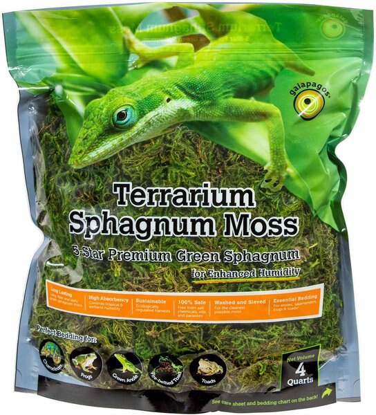 Galapagos Sphagnum Reptile， Amphibian and Insect Terrarium Moss