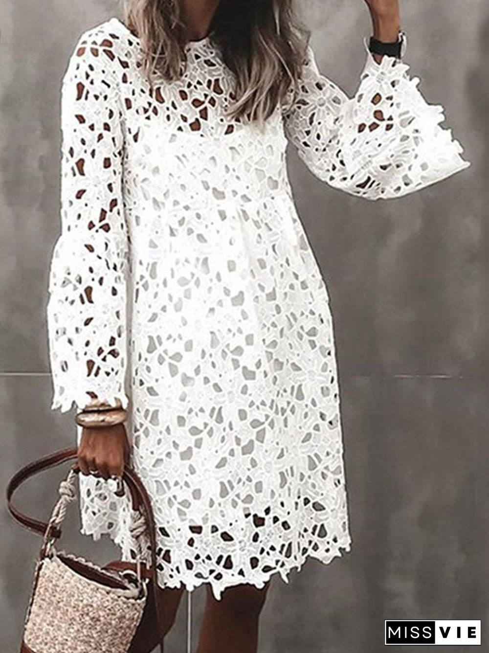 Elegant Lace Long Sleeve Casual Dress