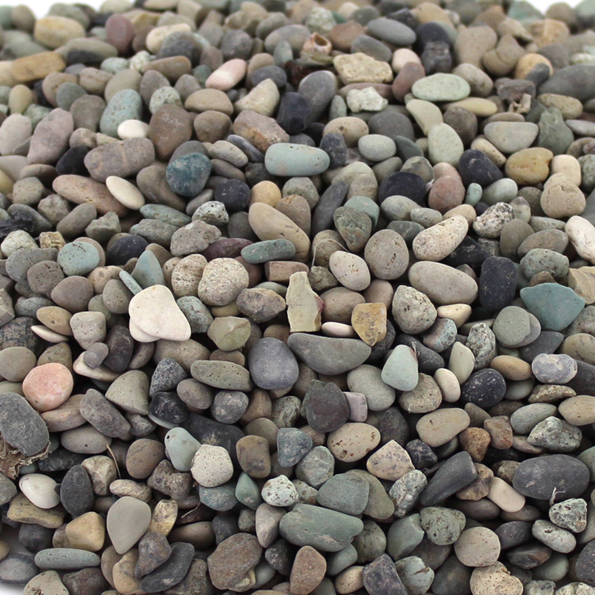 Rainforest Outdoor Decorative Stone, Earthy Mixed Natural Stone Gravel, 900 lbs.