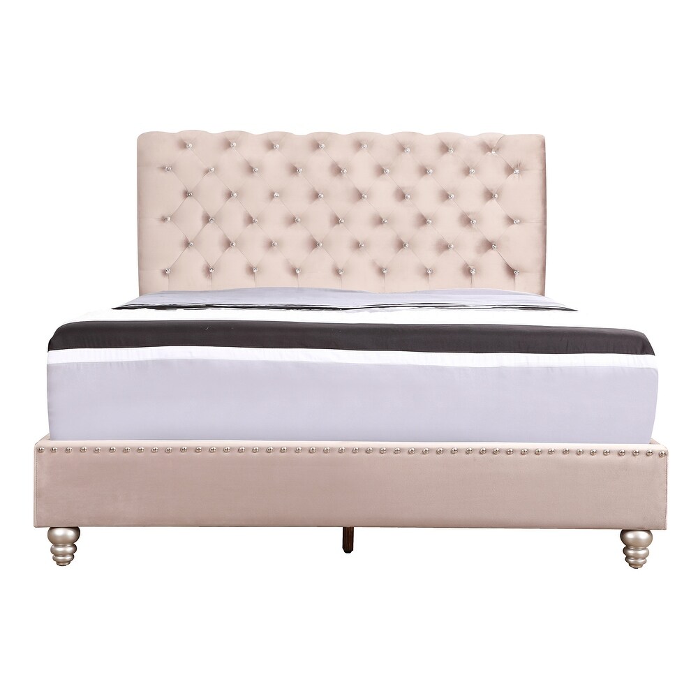 Maxx Tufted Upholstered Queen Panel Bed