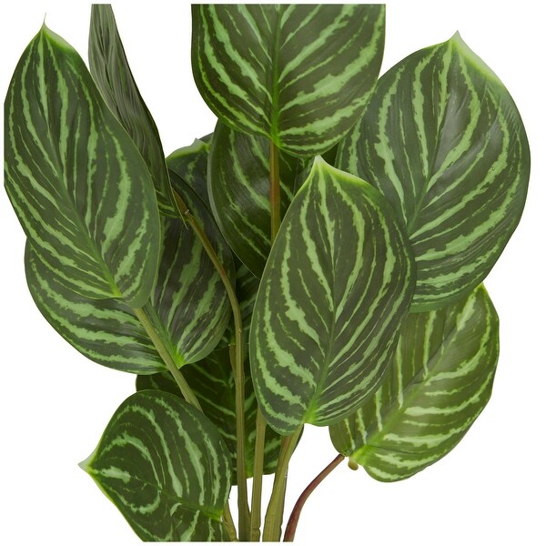 The Novogratz Green Faux Foliage Calathea Artificial Plant with Realistic Leaves and Patterned Porcelain Pot