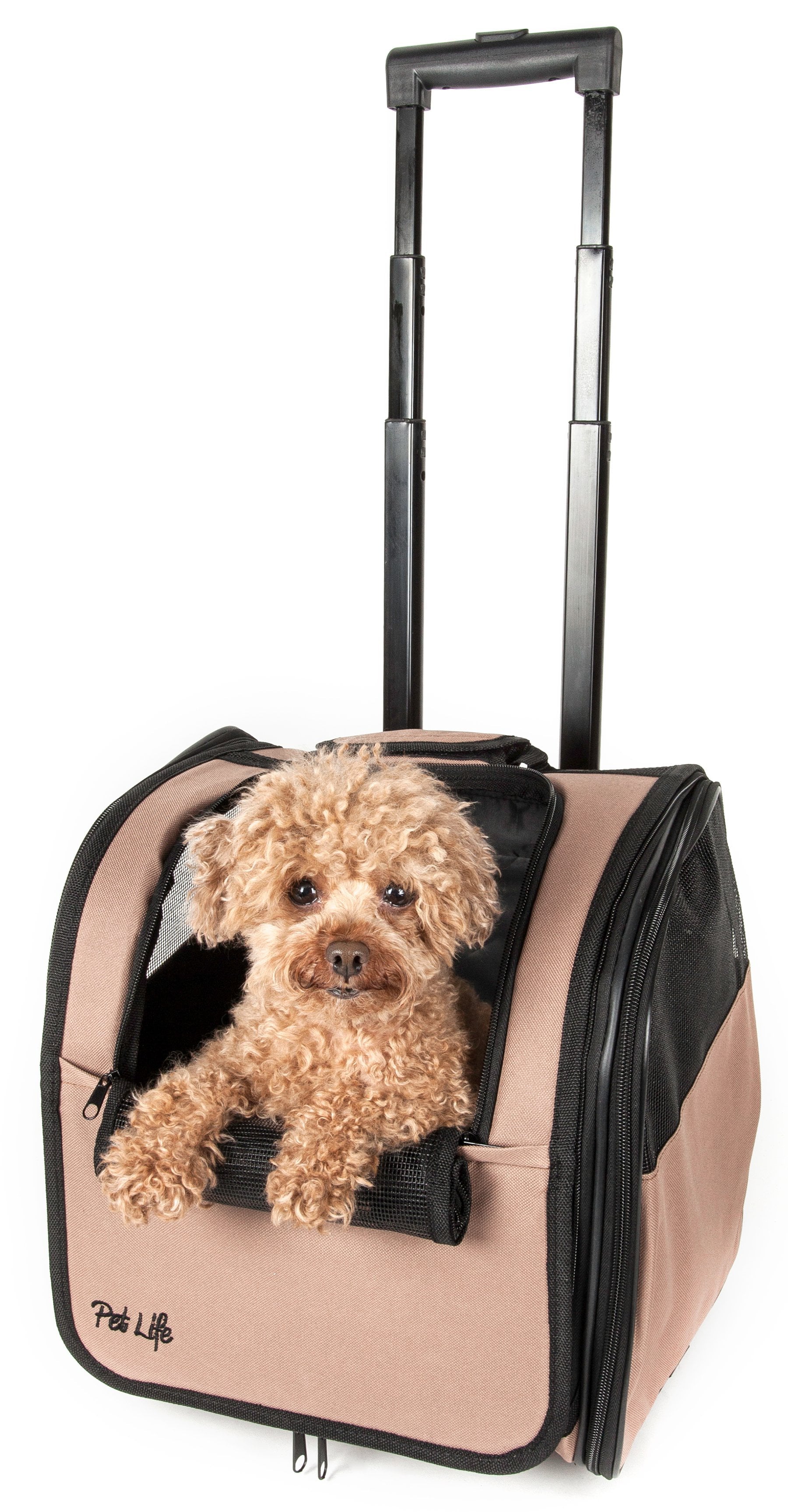 Pet Life ® 'Pawdon Me ' Wheeled Airline Approved Travel Collapsible Pet Dog Carrier