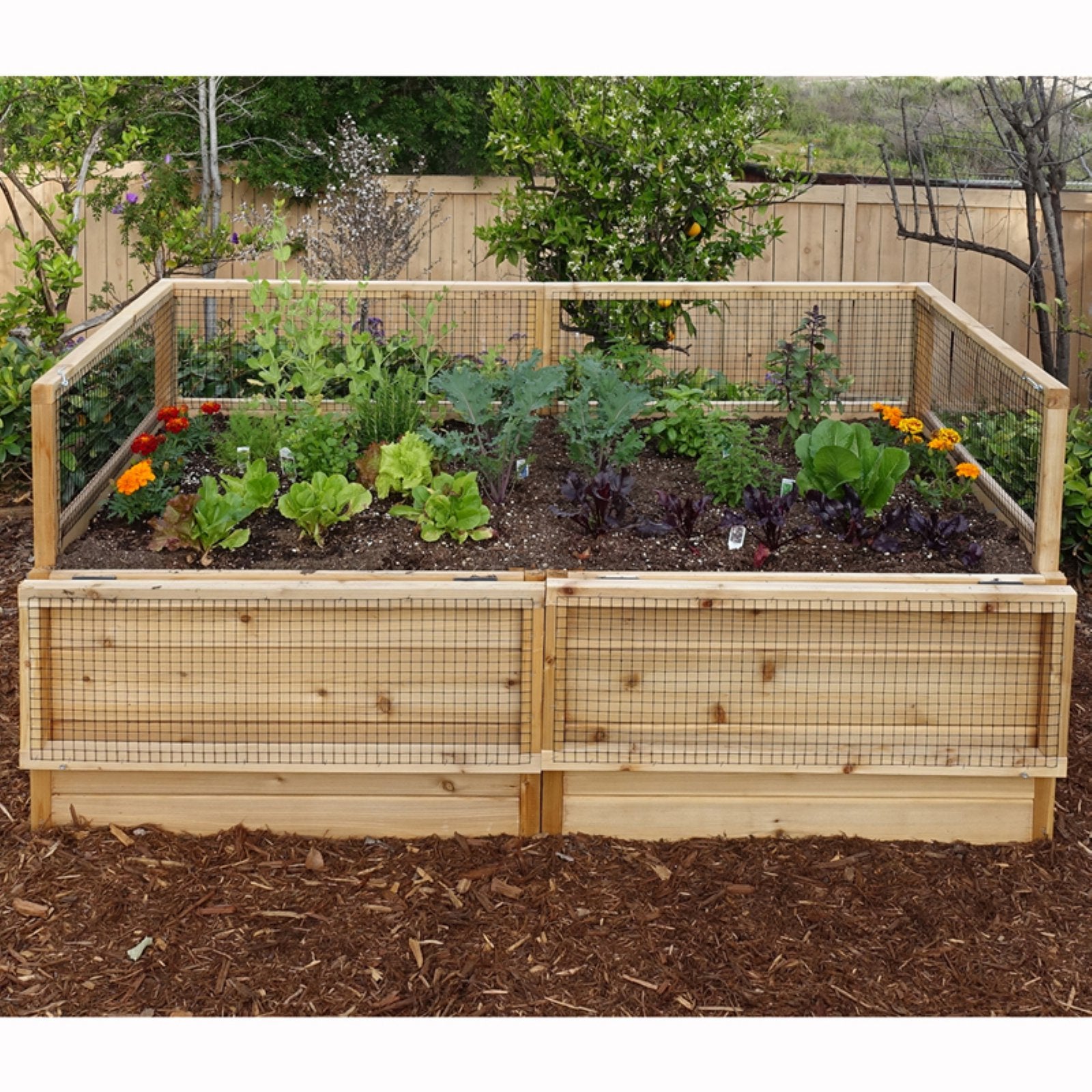 Outdoor Living Today Raised Cedar Garden Bed - 6 x 3 ft.