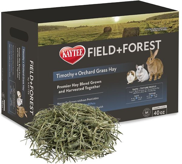 Field+Forest by Kaytee Timothy and Orchard Grass Small Pet Hay