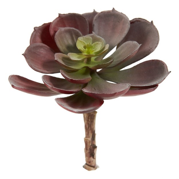 Nearly Natural 6-in Artificial Echeveria Succulent (set Of 12)