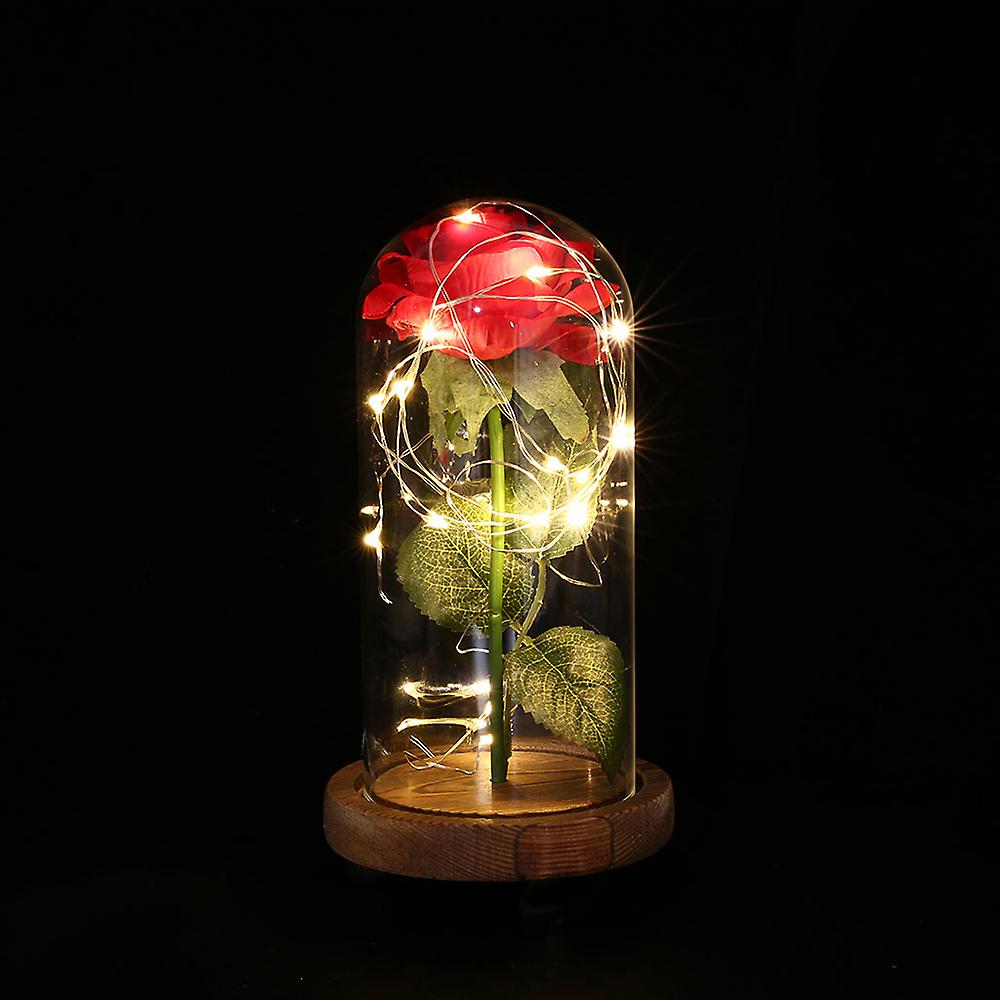 Rose Flower， Glass Cover， Wooden Base， String Light