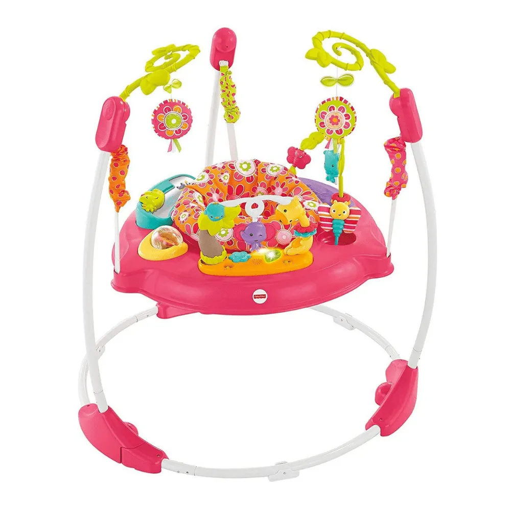 Fisher-Price Jumperoo， Pink Petals