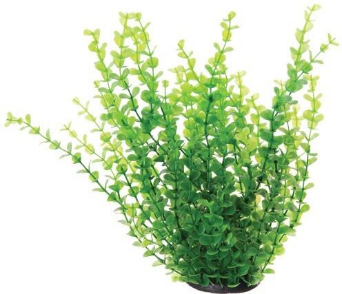 Underwater Treasures Green Moneywort Fish Ornament