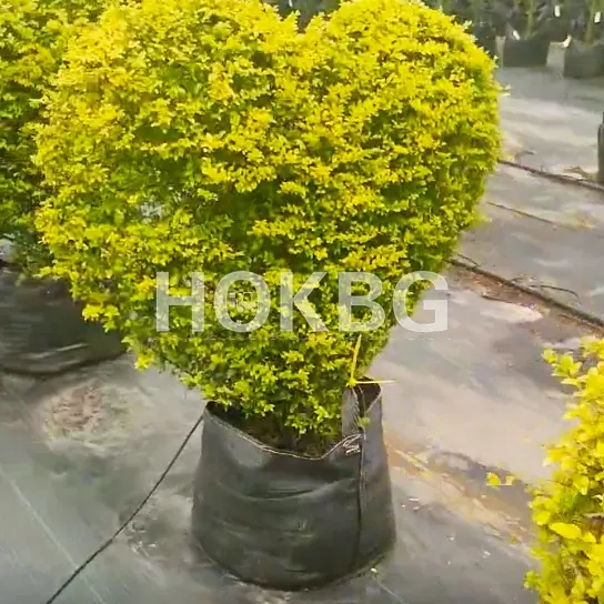 HOKBG High strength UV stabilized 30 Gallon pots for plants small flower plant indoor pot planter bags for trees