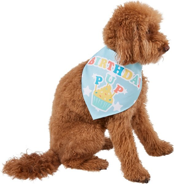 Frisco Birthday Pup Dog and Cat Bandana