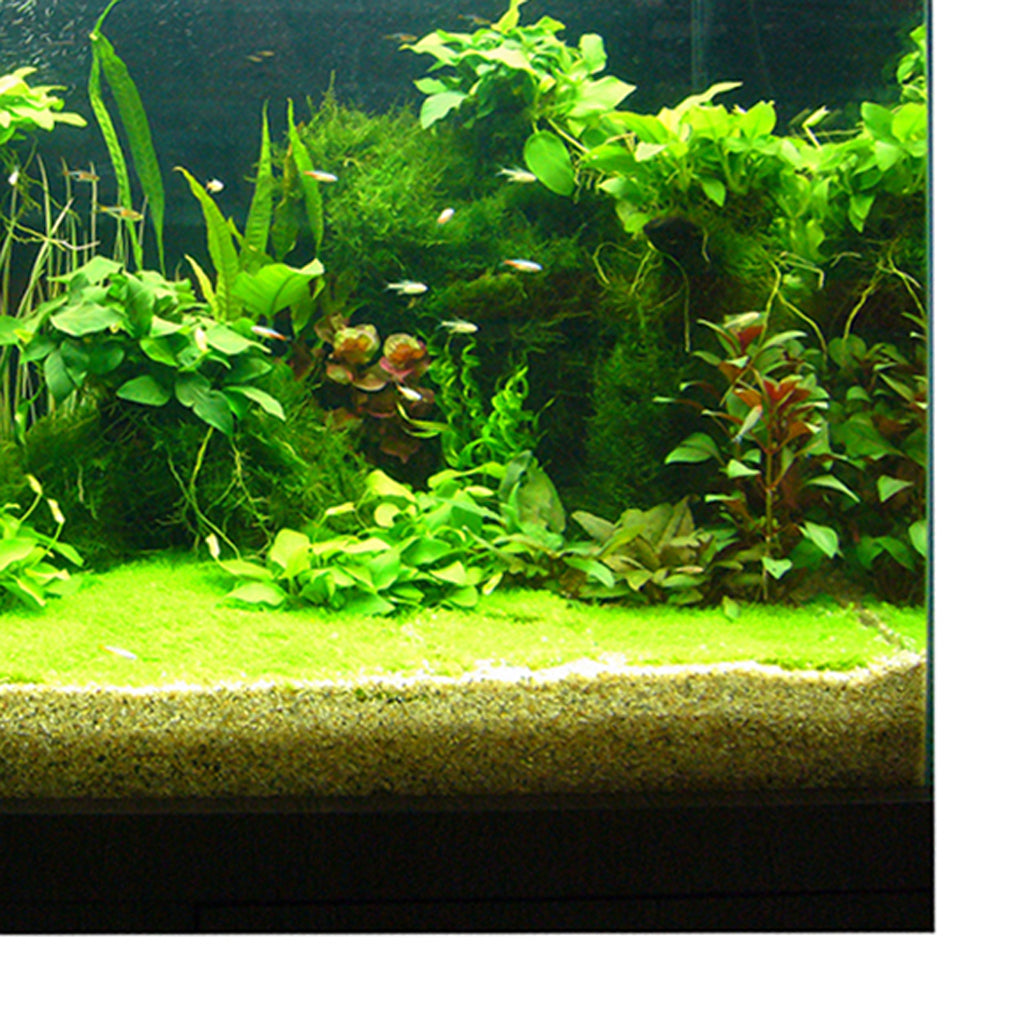 Attractive 3D Plants Image Aquarium Background Poster/Fish Tank Landscape - 61x30cm