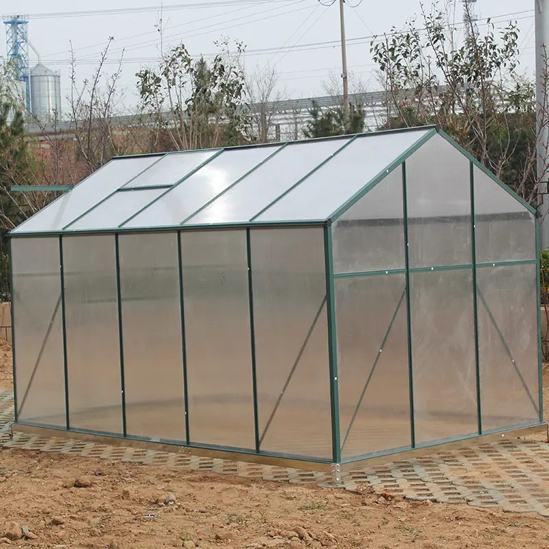 Factory Wholesale Greenhouse Supplies Greenhouse Structure Galvanized Steel Plastic Greenhouse For Outdoors