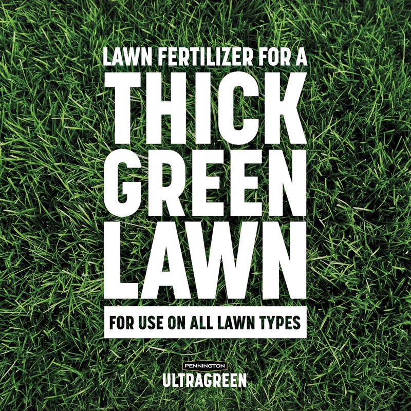 LAWN FERT ALL PURP 5M