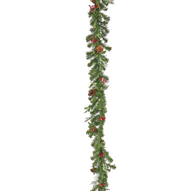 National Tree Company First Traditions Pre lit Christmas Evergeen Garland With Pinecones And Berries Warm White Led Lights Plug In 6 Ft