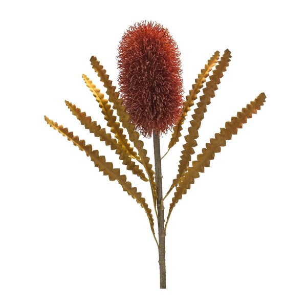 Set of 6 Banksia Floral Artificial Stems 24